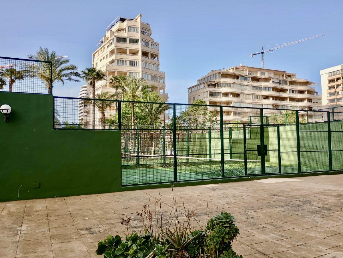 Edificio Apolo XIV 14 (Ref 20262767)