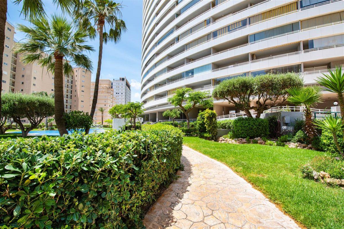 Edificio Apolo XIV 14 (Ref 20262767)